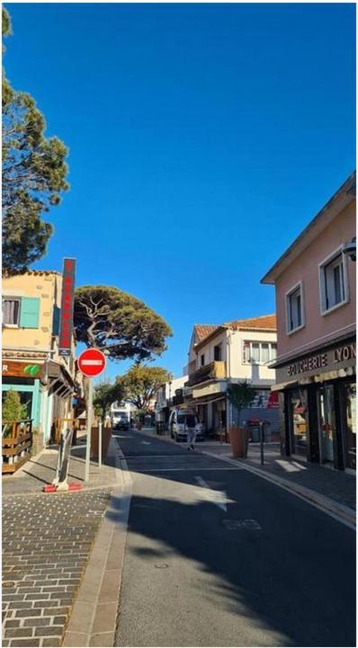 Maisonnette Climatisee A 35m De La Plage De La Capte Hyères